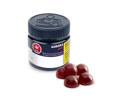 Aurora Drift - Grape Oasis Gummies 4 Pack
